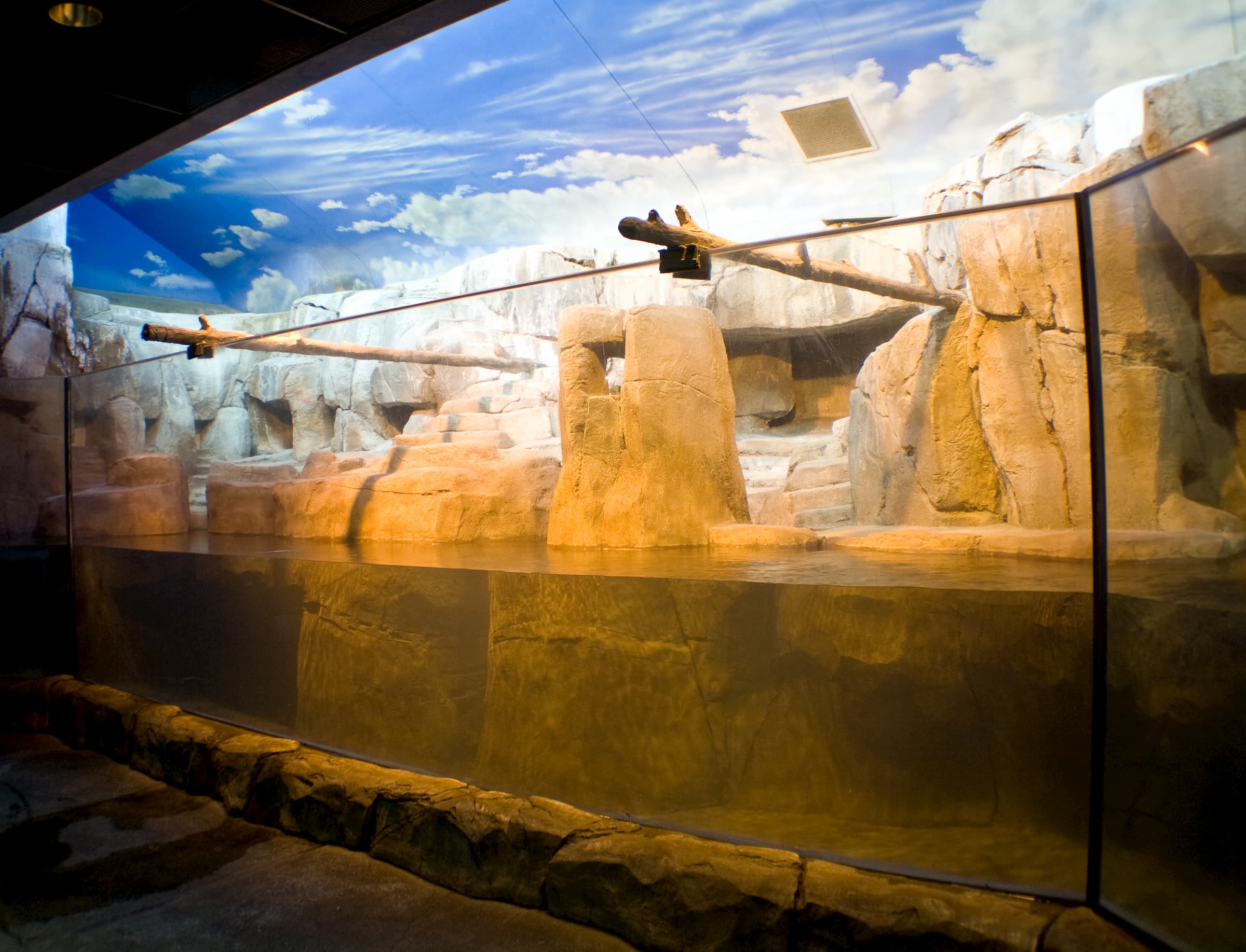 Strong glass on an animal enclosure